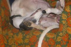 20040907-untitled-324