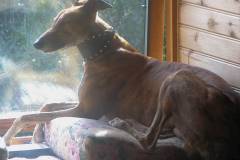 20040908-untitled-001