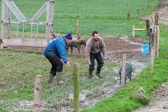 20050224-untitled-055