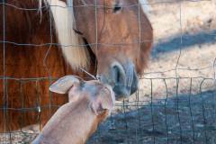 20131020-untitled-018