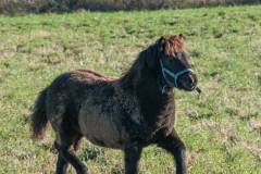 20141022-untitled-120