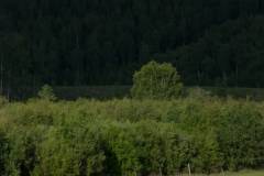 20170623-untitled-006
