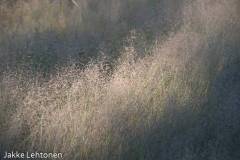20130819-untitled-078