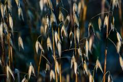 20130819-untitled-086