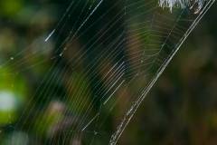 20150816-untitled-021