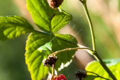 20150816-untitled-028