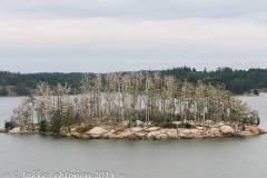 20040903-untitled-923