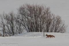 20110224-untitled-007