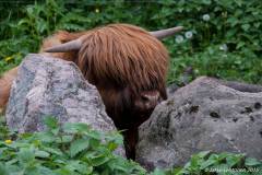 20150612-untitled-003