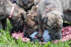 20130531-untitled-012