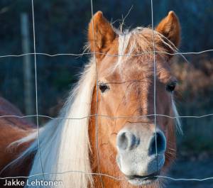 20131020-untitled-027