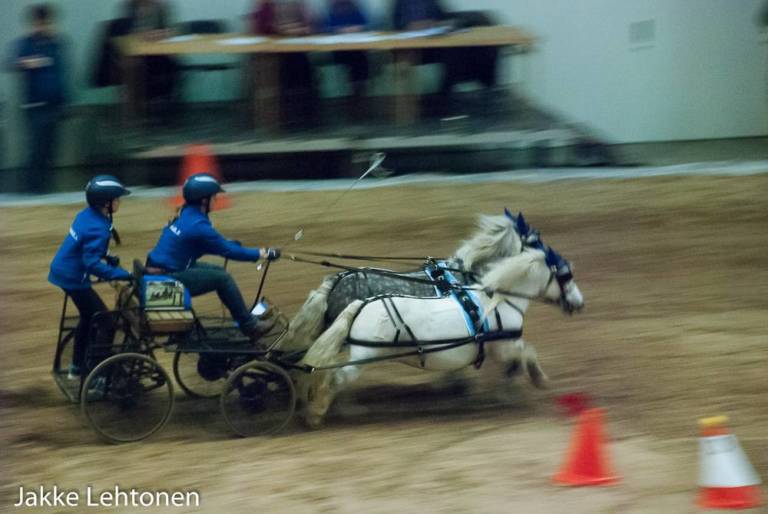 Read more about the article Torvisen kyydissä