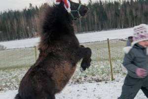 Read more about the article Pimeää kestää vain hetken