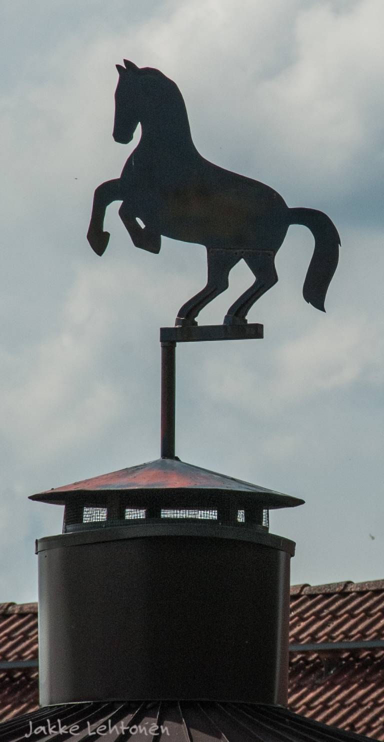 Read more about the article Finnderby 2016