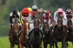 Read more about the article Treve