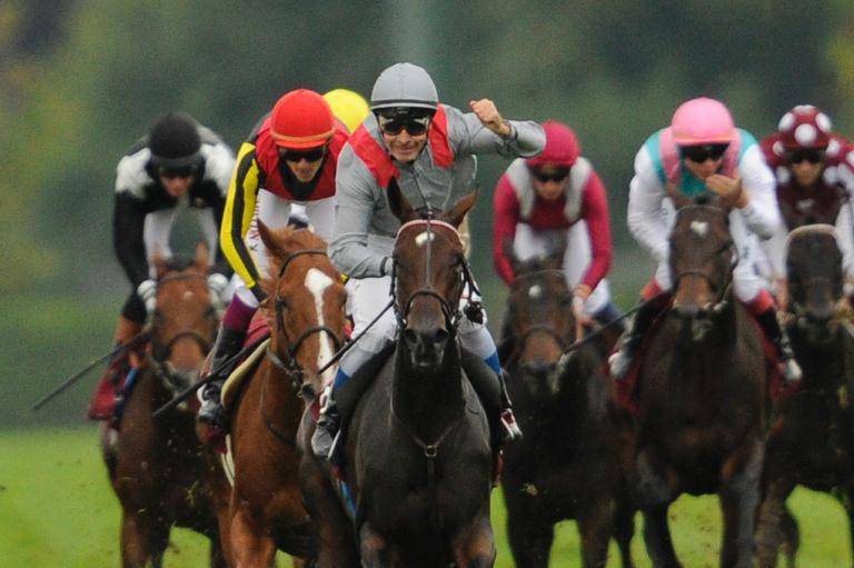 Read more about the article Treve